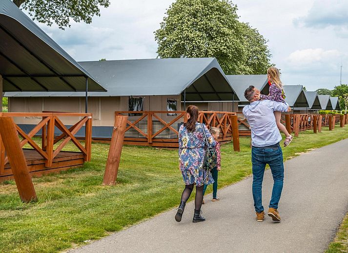 Guest house 3909136 - Tent house Zuid Limburg - Lodge de Montagne Medium