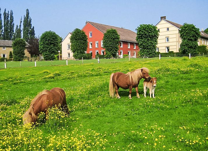 Guest house 390913 - Holiday property Zuid Limburg - Vakantiehuis Bungalowpark Landsrade