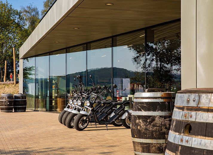 Guest house 3909145 - Holiday property Zuid Limburg - Geschakelde woning in Gulpen