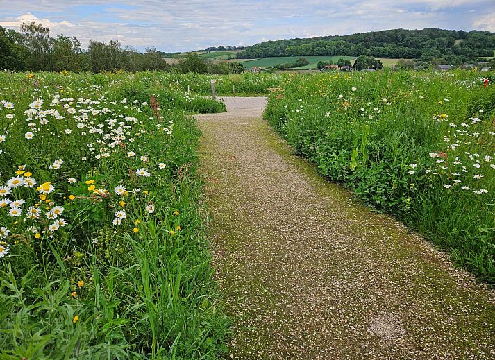 Unterkunft 3909147 - Ferienhaus Zuid Limburg - Geschakelde woning in Gulpen