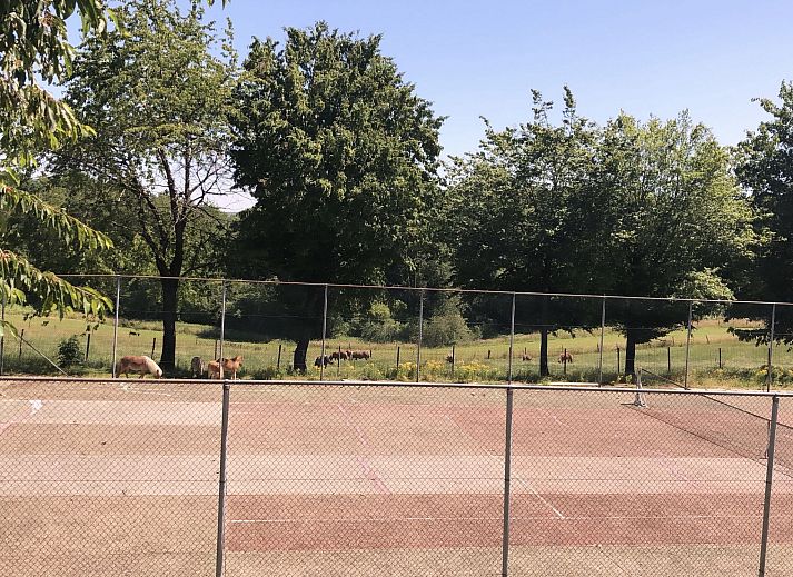 Guest house 3909154 - Holiday property Zuid Limburg - Vakantiehuis Bungalowpark Landsrade