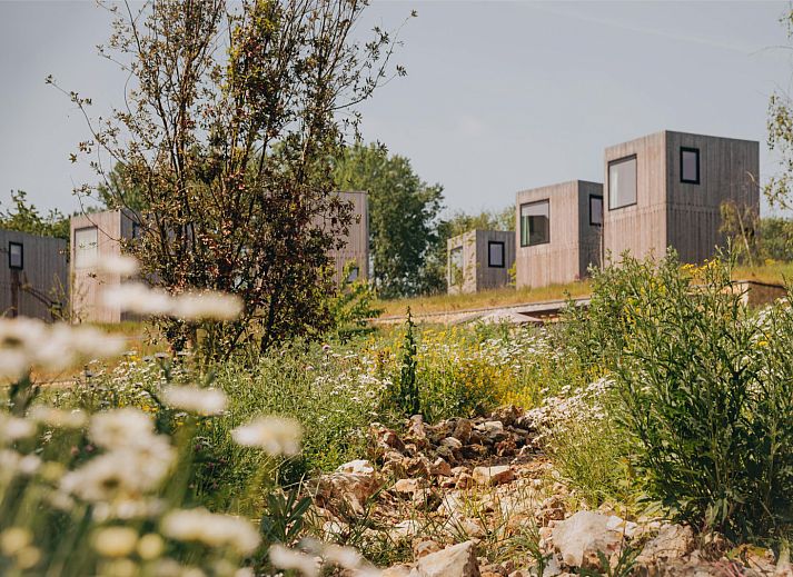 Verblijf 3909172 - Vakantiewoning Zuid Limburg - Hilltop Lodge 4