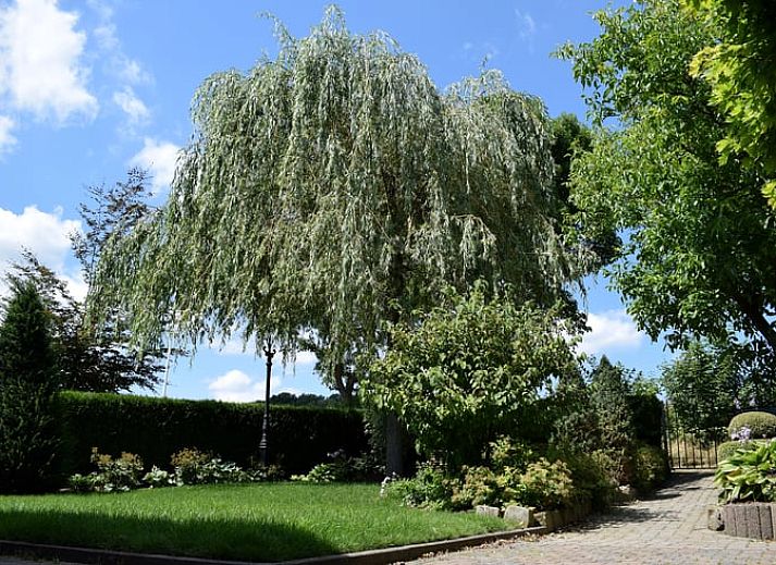 Prachtig uitzicht op de groene omgeving vanuit Vakantiehuis in Gulpen, Zuid Limburg.