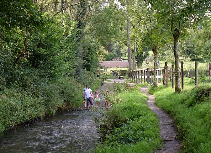 Prachtig uitzicht op de groene omgeving vanuit Vakantiehuis in Gulpen, Zuid Limburg.