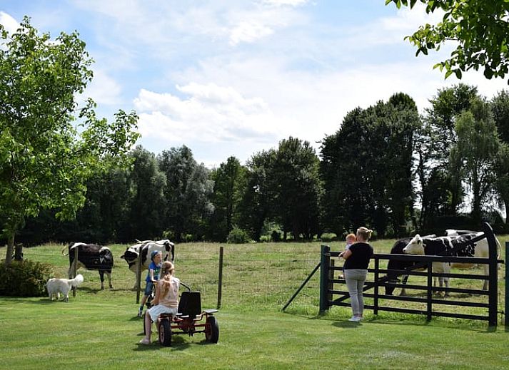 Prachtig uitzicht op de groene omgeving vanuit Vakantiehuis in Gulpen, Zuid Limburg.