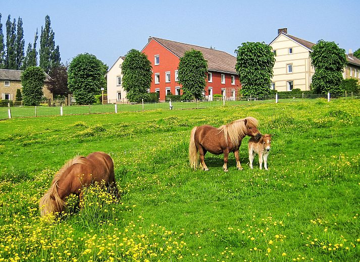 Verblijf 390923 - Vakantiewoning Zuid Limburg - Vakantiehuis Bungalowpark Landsrade