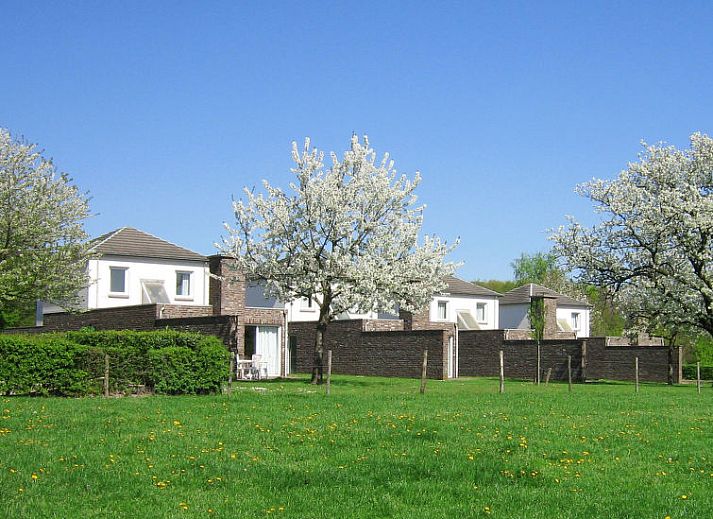 Guest house 390925 - Holiday property Zuid Limburg - Vakantiehuis Vrijstaande 10 persoons