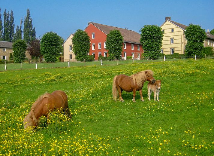 Unterkunft 390933 - Ferienhaus Zuid Limburg - Vakantiehuis Bungalowpark Landsrade