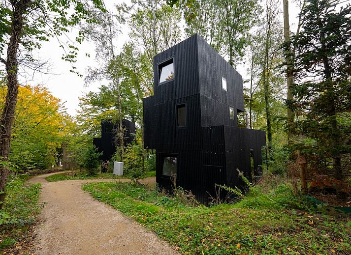 Verblijf 390950 - Vakantiewoning Zuid Limburg - Treehouse 6