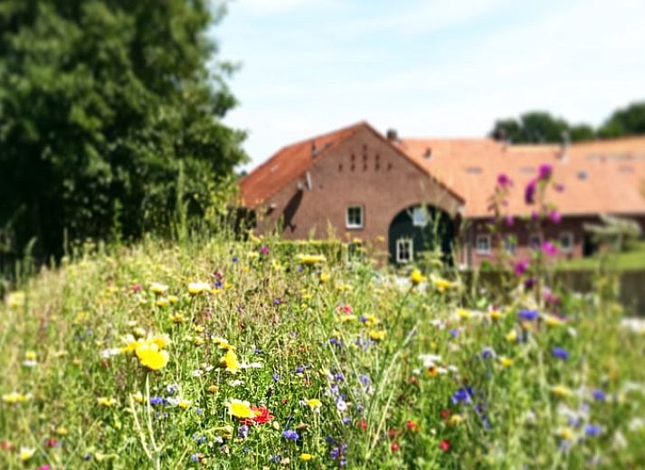 Comfortabele slaapkamer in Vakantiehuisje in Gulpen, Zuid Limburg, met houten details.