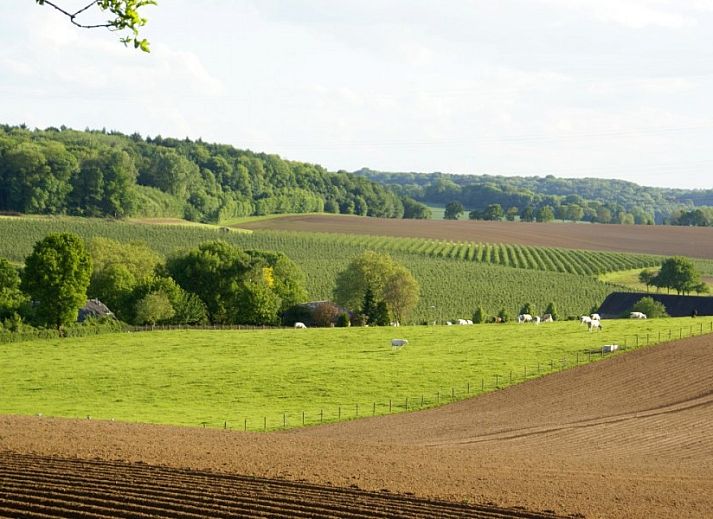 Guest house 391101 - Holiday property Zuid Limburg - Domein Hellebeuk