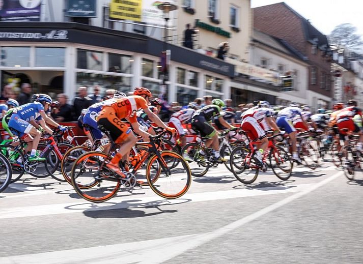 Guest house 391101 - Holiday property Zuid Limburg - Domein Hellebeuk