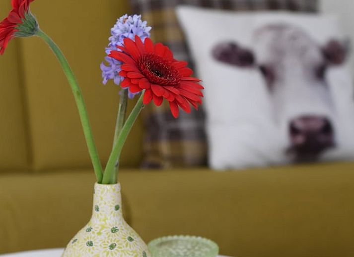 Aussenansicht des Ferienhauses in Klimmen, Suedlimburg, mit traditioneller Architektur und schoenem Garten.