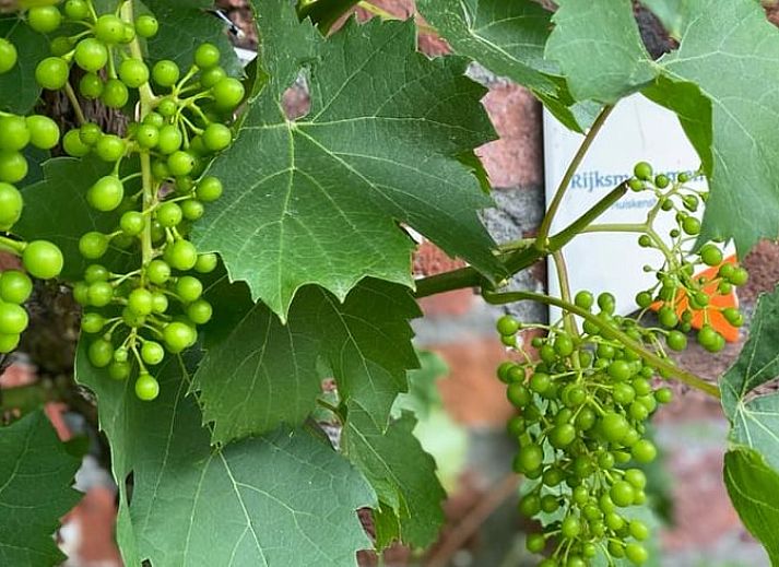Modernes Badezimmer in einem Ferienhaus in Klimmen, Suedlimburg, mit stilvollem Waschbecken und Accessoires.