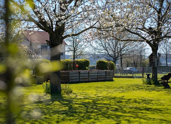 Modern kitchen of Holiday Home in Klimmen, South Limburg, with stainless steel appliances and sleek finish.