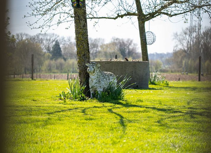 Modern kitchen of Holiday Home in Klimmen, South Limburg, with stainless steel appliances and sleek finish.