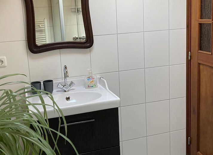 Gezellig terras met bloemen bij Vakantiehuis in Wijlre, Zuid Limburg.