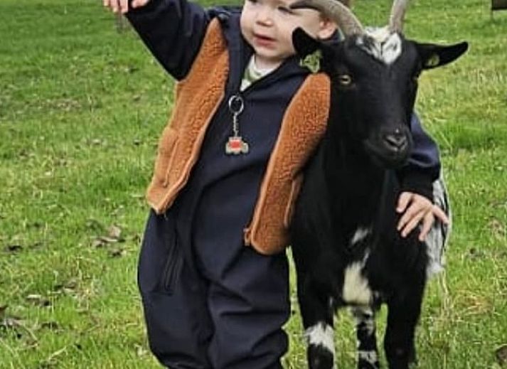 Comfortabele bedden in Vakantiehuis in Wijlre, Zuid Limburg.