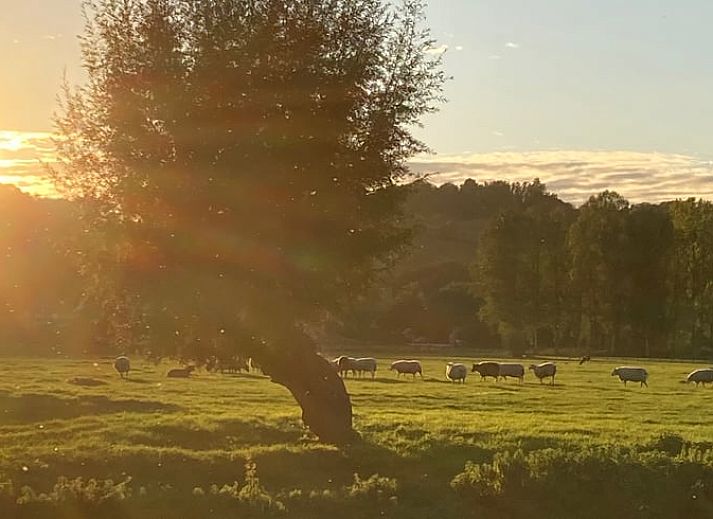 Moderne badkamer met wastafel in Vakantiehuis in Wijlre, Zuid Limburg.