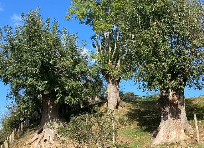 Moderne badkamer met wastafel in Vakantiehuis in Wijlre, Zuid Limburg.