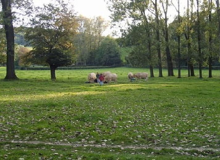 Verblijf 391315 - Vakantiewoning Zuid Limburg - Vakantiehuis in Wijlre