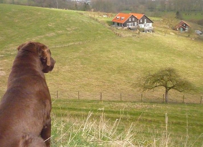 Guest house 391316 - Holiday property Zuid Limburg - Vakantiehuis in Wijlre