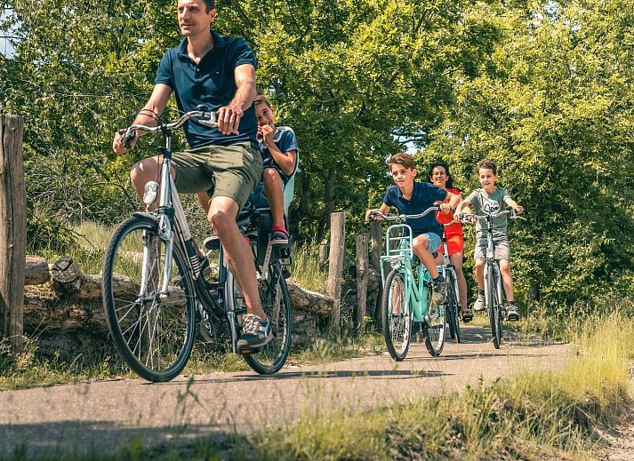 Verblijf 391412 - Vakantiewoning Zuid Limburg - Boekhorst