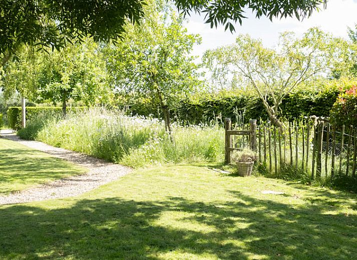 Zonnig terras met houten tafel bij Huisje in Slenaken vakantiehuis in Limburg.