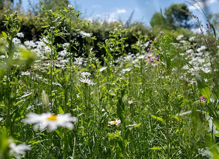 Zonnig terras met houten tafel bij Huisje in Slenaken vakantiehuis in Limburg.