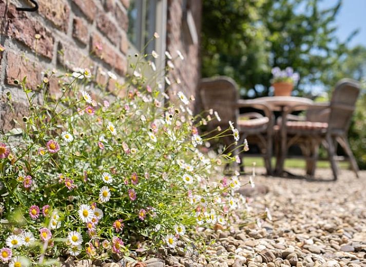 Gezellige keuken in Huisje in Slenaken vakantiehuis in Zuid Limburg.