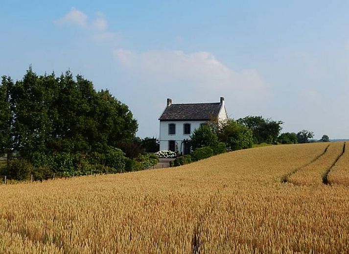 Genieten van een glas wijn op het terras van Huisje in Epen, vakantiehuis in Zuid Limburg.