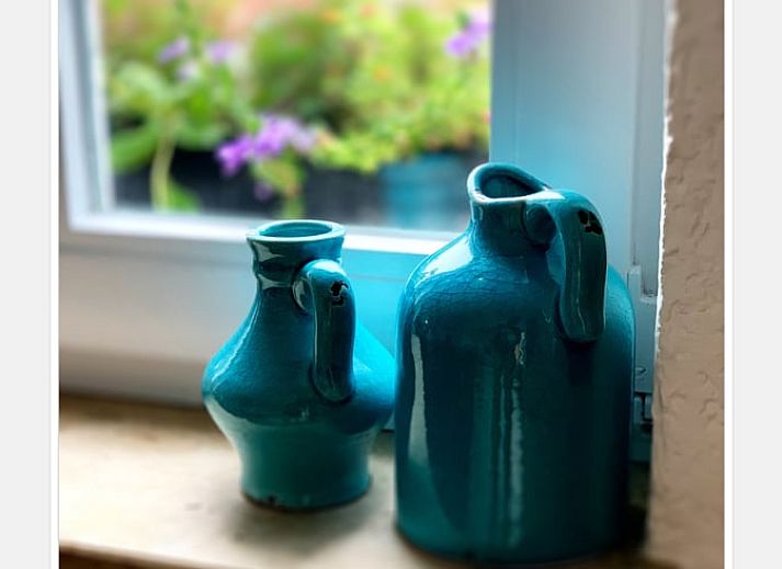 Sunny terrace at Cottage in Epen, South Limburg, vacation home with inviting seating area and colorful flowers.