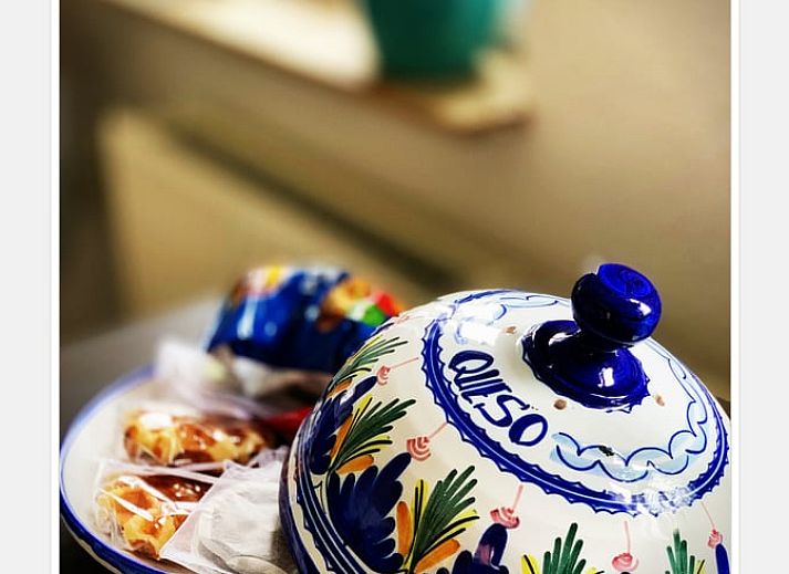 Sunny terrace at Cottage in Epen, South Limburg, vacation home with inviting seating area and colorful flowers.