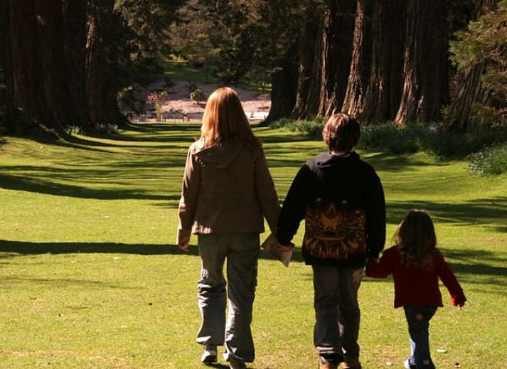 Unterkunft 391628 - Ferienhaus Zuid Limburg - Vakantiehuis in Epen