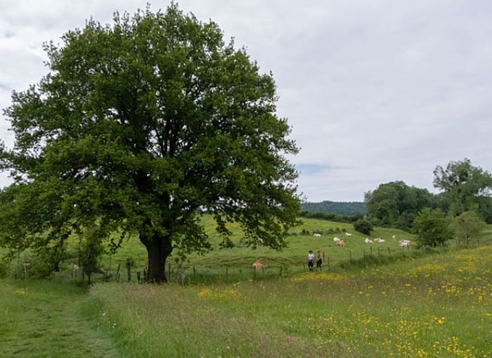 Unterkunft 391629 - Ferienhaus Zuid Limburg - Vakantiehuis in Epen