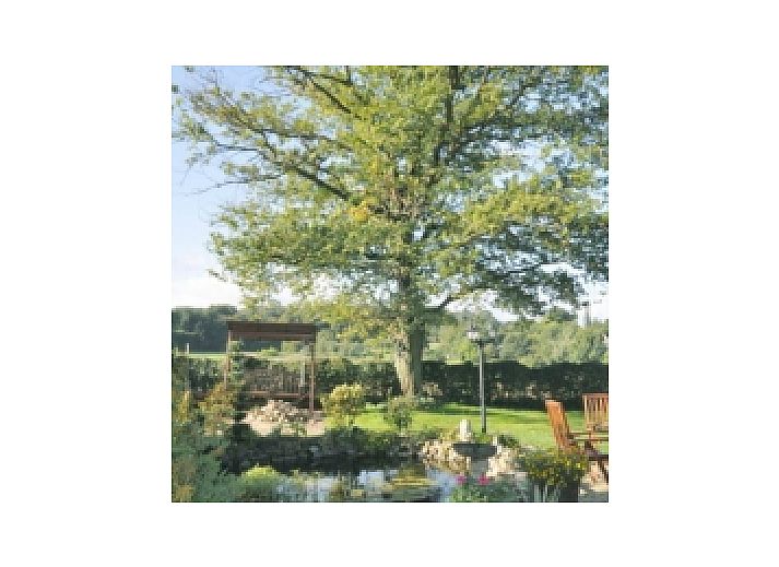 Guest house 391703 - Holiday property Zuid Limburg - Hoeve Nelderhof
