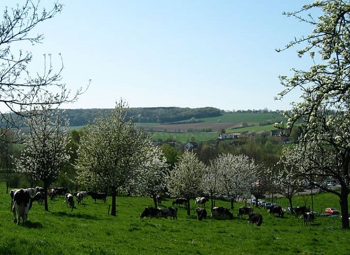 Vooraanzicht van Huisje in Vijlen, vakantiehuis in Zuid Limburg, met traditionele bakstenen gevel.