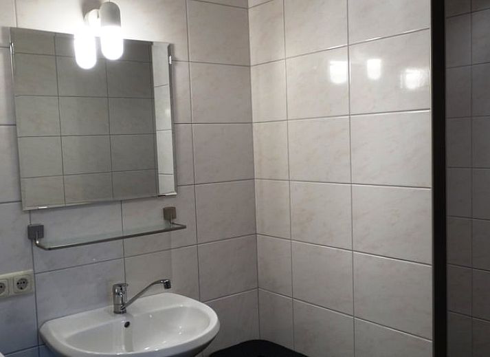 Grazende koeien in de weelderige velden rond Huisje in Vijlen, vakantiehuis in Zuid Limburg.