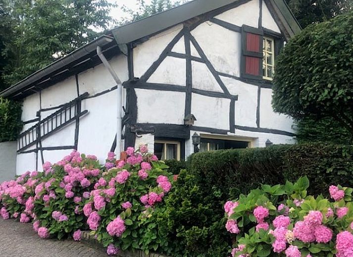 Guest house 391714 • Holiday property Zuid Limburg • Vakantiehuis in Vijlen (Vaals)