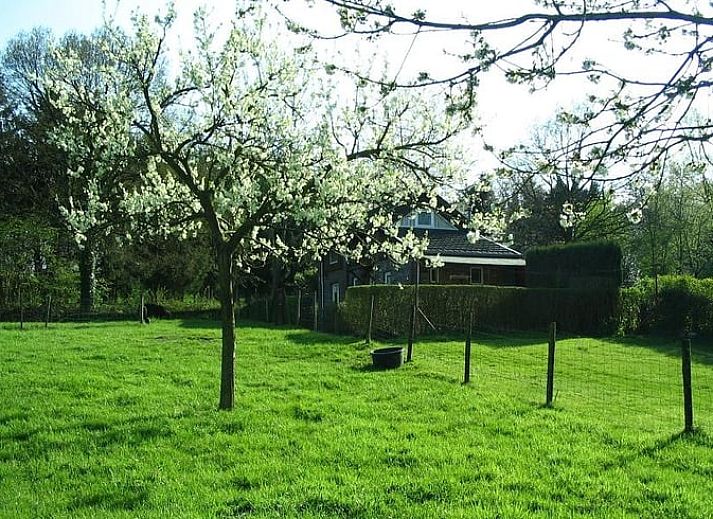 Geniessen Sie die Terrasse des Ferienhauses in Vijlen, das im gruenen Suedlimburg liegt.