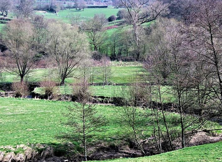 Schafe grasen rund um das Ferienhaus in Vijlen, einem idyllischen Ort in Suedlimburg.