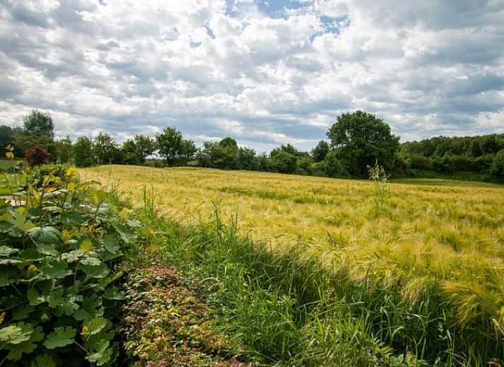 Unterkunft 391730 - Ferienhaus Zuid Limburg - Huisje in Vijlen