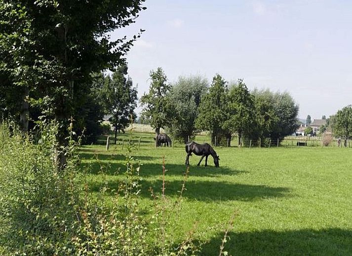 Unterkunft 391905 - Appartement Zuid Limburg - Meschermolen 5