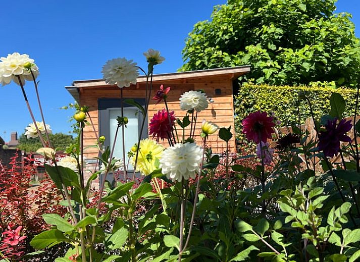 Unterkunft 392204 - Ferienhaus Zuid Limburg - Huisje in Banholt