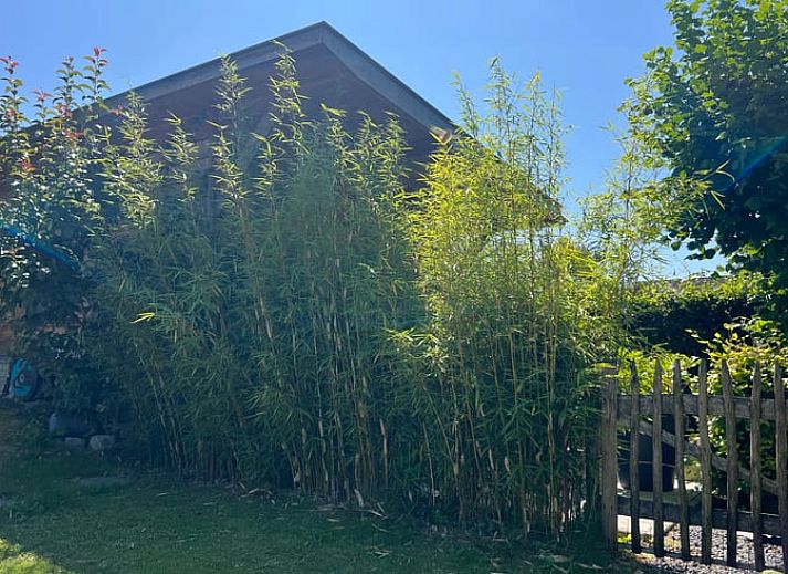 Unterkunft 392204 - Ferienhaus Zuid Limburg - Huisje in Banholt