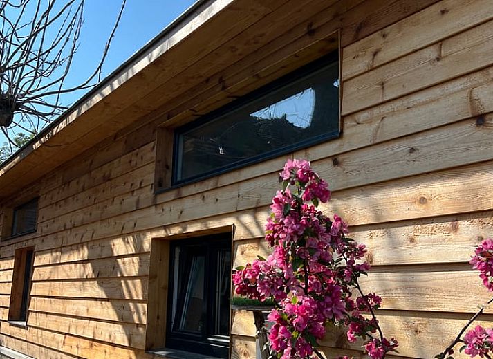 Unterkunft 392204 - Ferienhaus Zuid Limburg - Huisje in Banholt