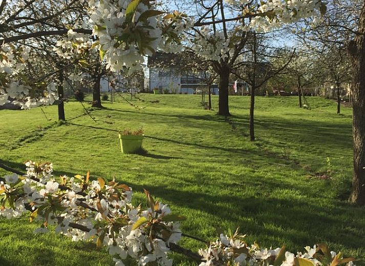 Guest house 392209 - Holiday property Zuid Limburg - Huisje in Banholt