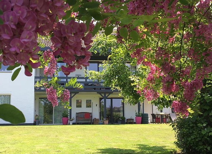 Guest house 392209 - Holiday property Zuid Limburg - Huisje in Banholt