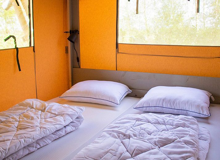 Unterkunft 392803 - Zelthaus Zuid Limburg - Nomad