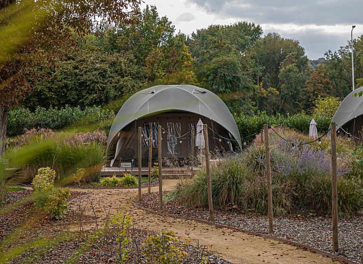 Guest house 392817 - Holiday property Zuid Limburg - «Glamping Lodge Jasmijn»